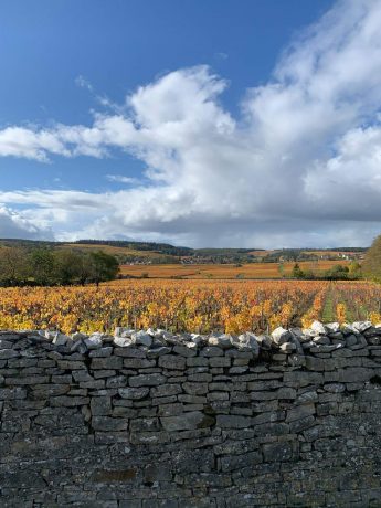 Tour de France des vins - Laurent Dufouleur